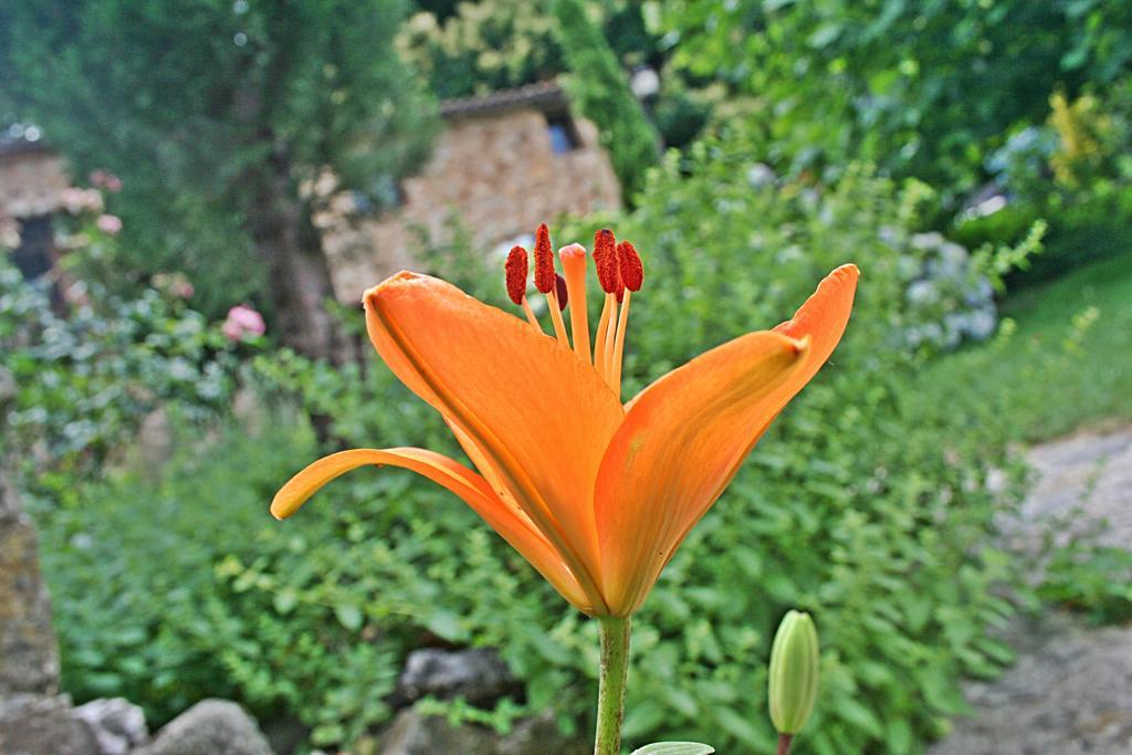 Finca El Carpintero Jerte Exteriér fotografie