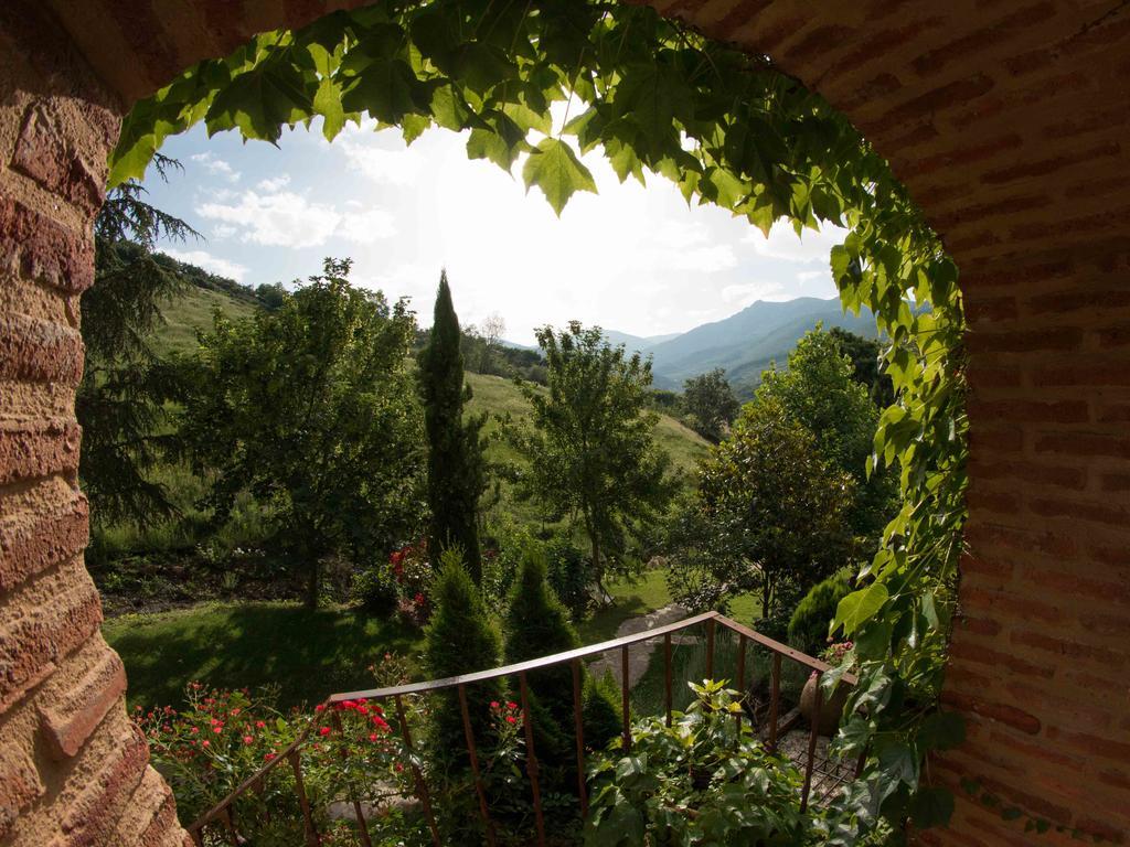 Finca El Carpintero Jerte Exteriér fotografie